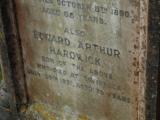 image of grave number 972990